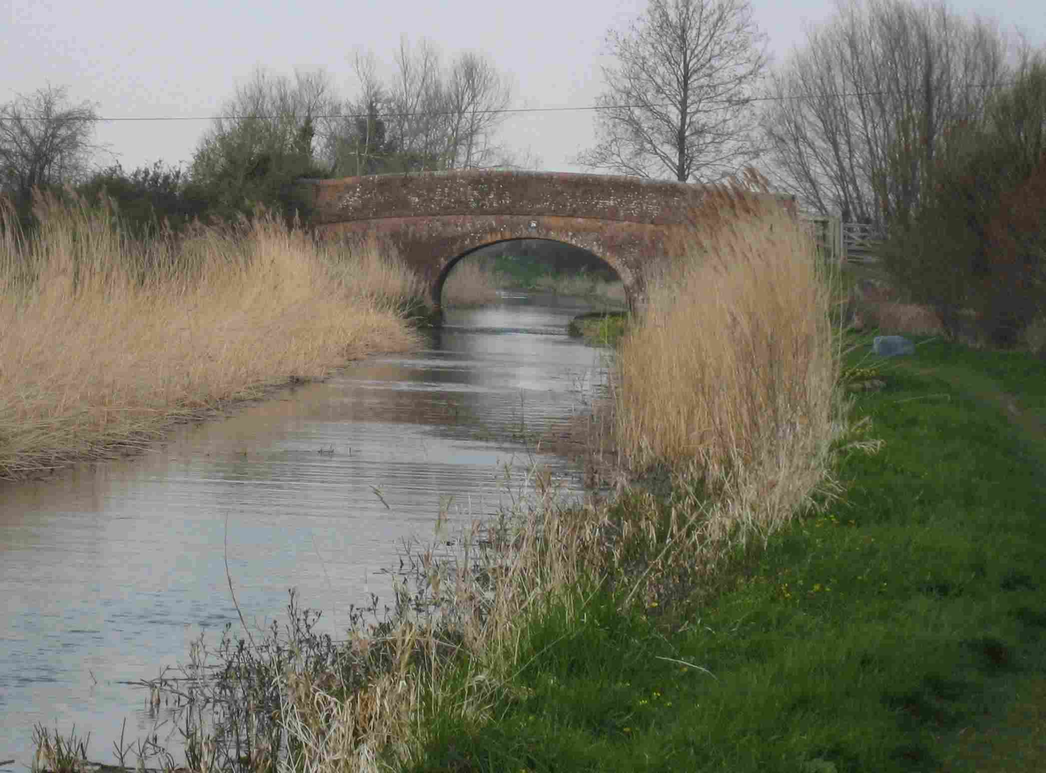 DN12 Bridgwater-Taunton Canal