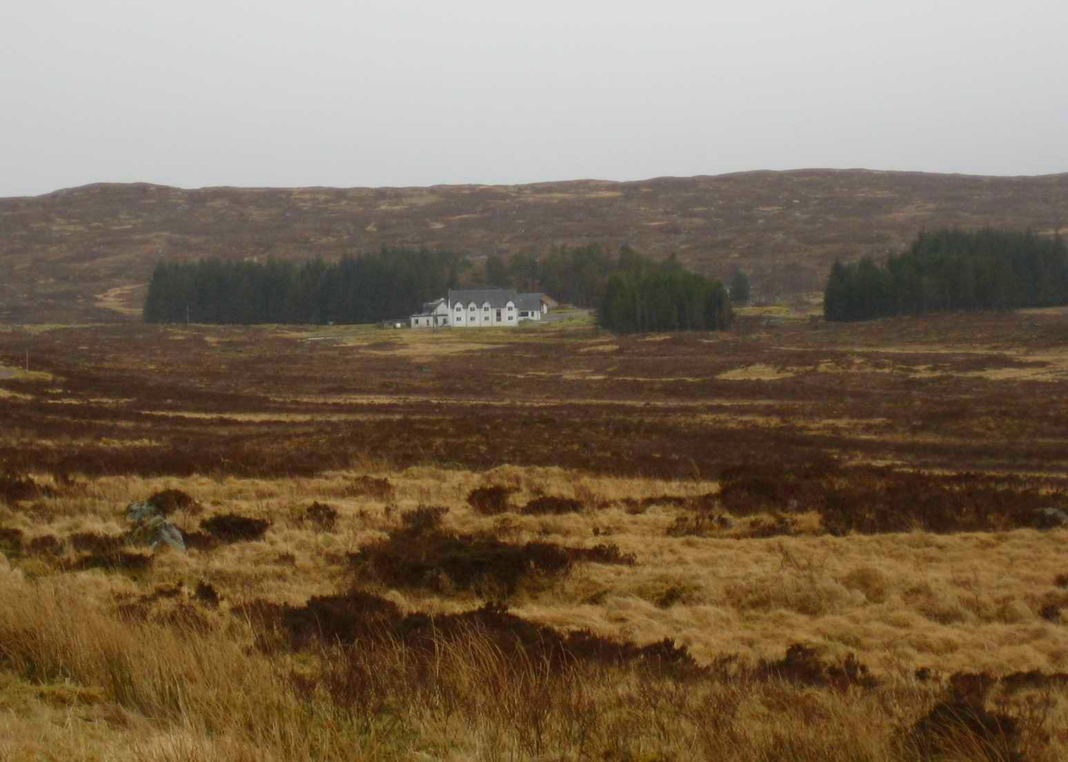 Kings House Hotel in distance