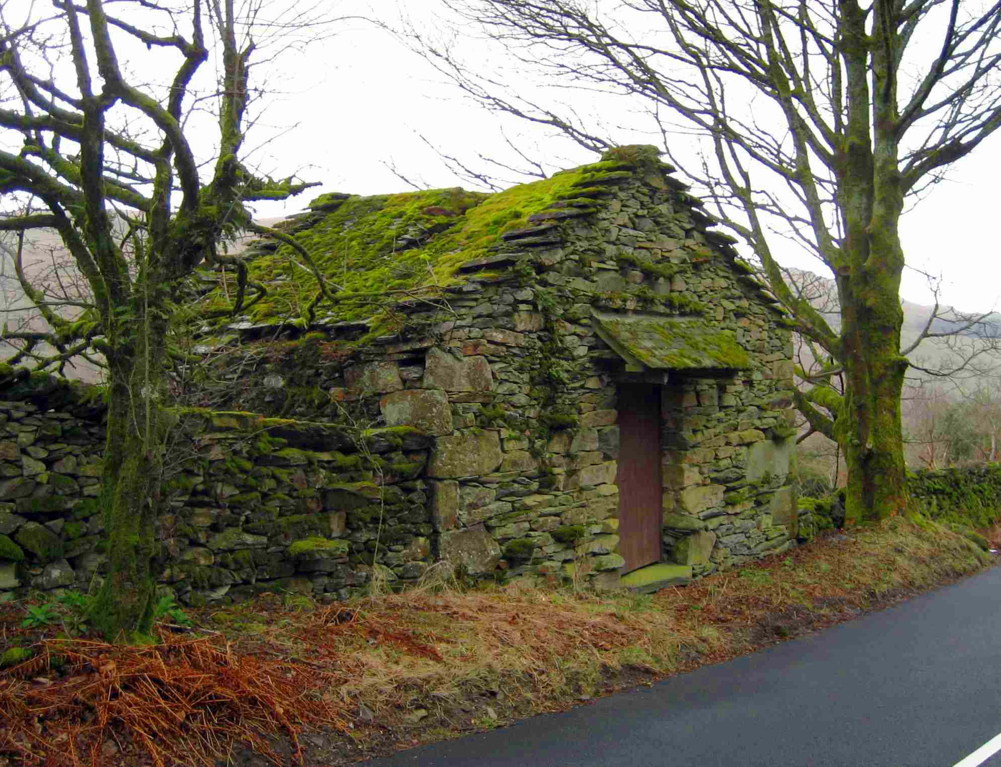 DS36 Stone shack