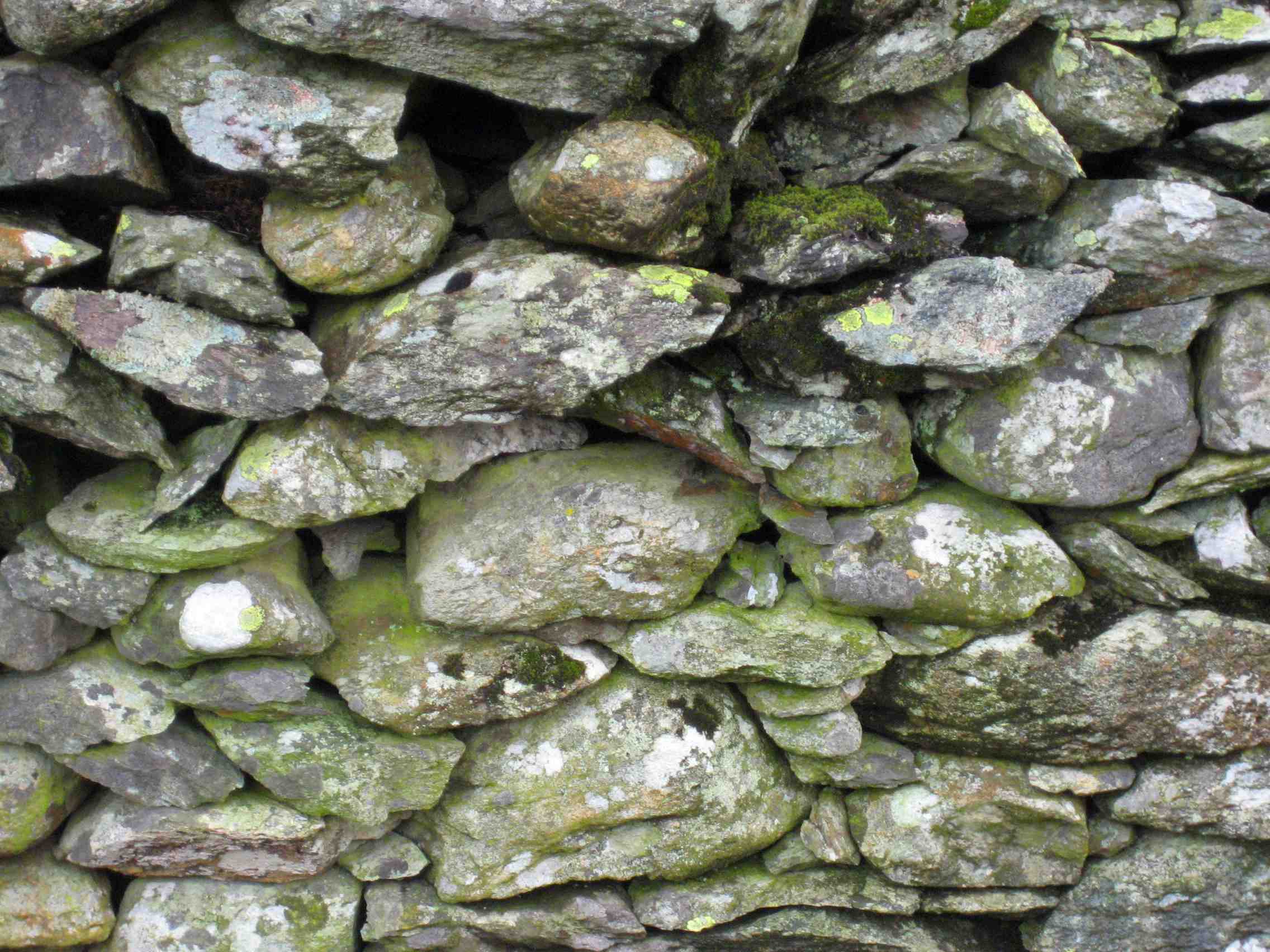 DS36 Stone wall