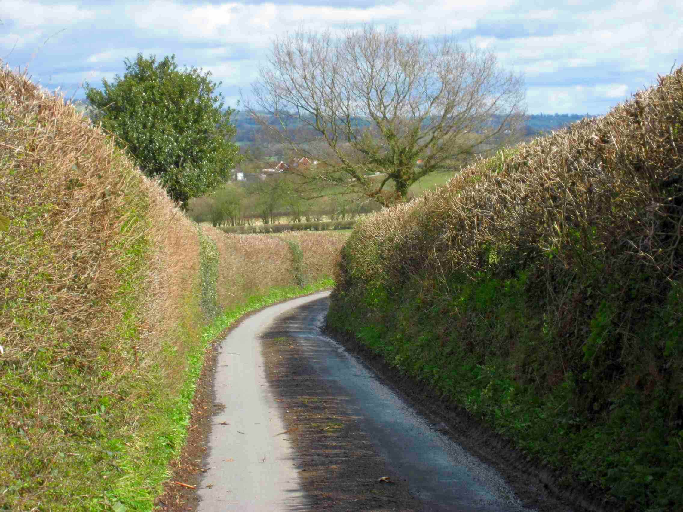 DS48 Country lane