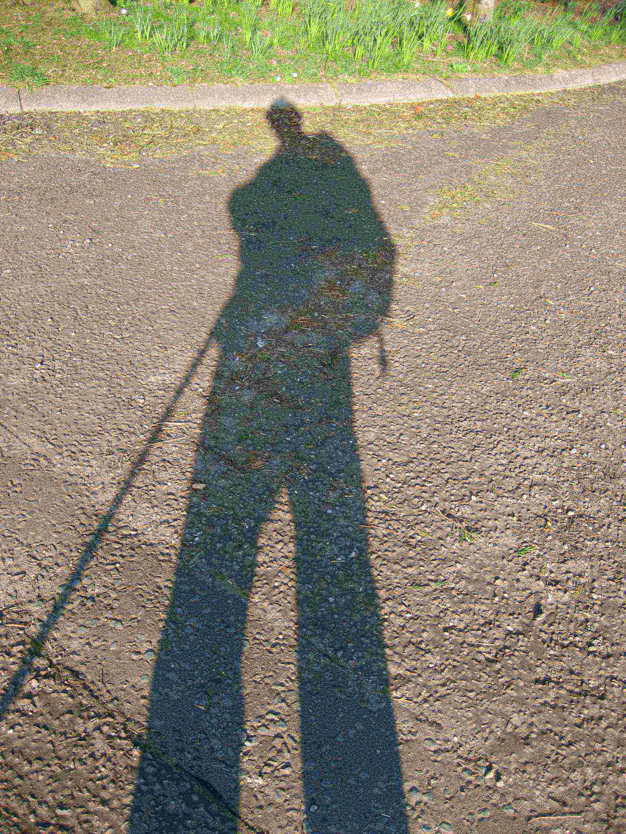 DN15 Eveneing shadows near Falfield