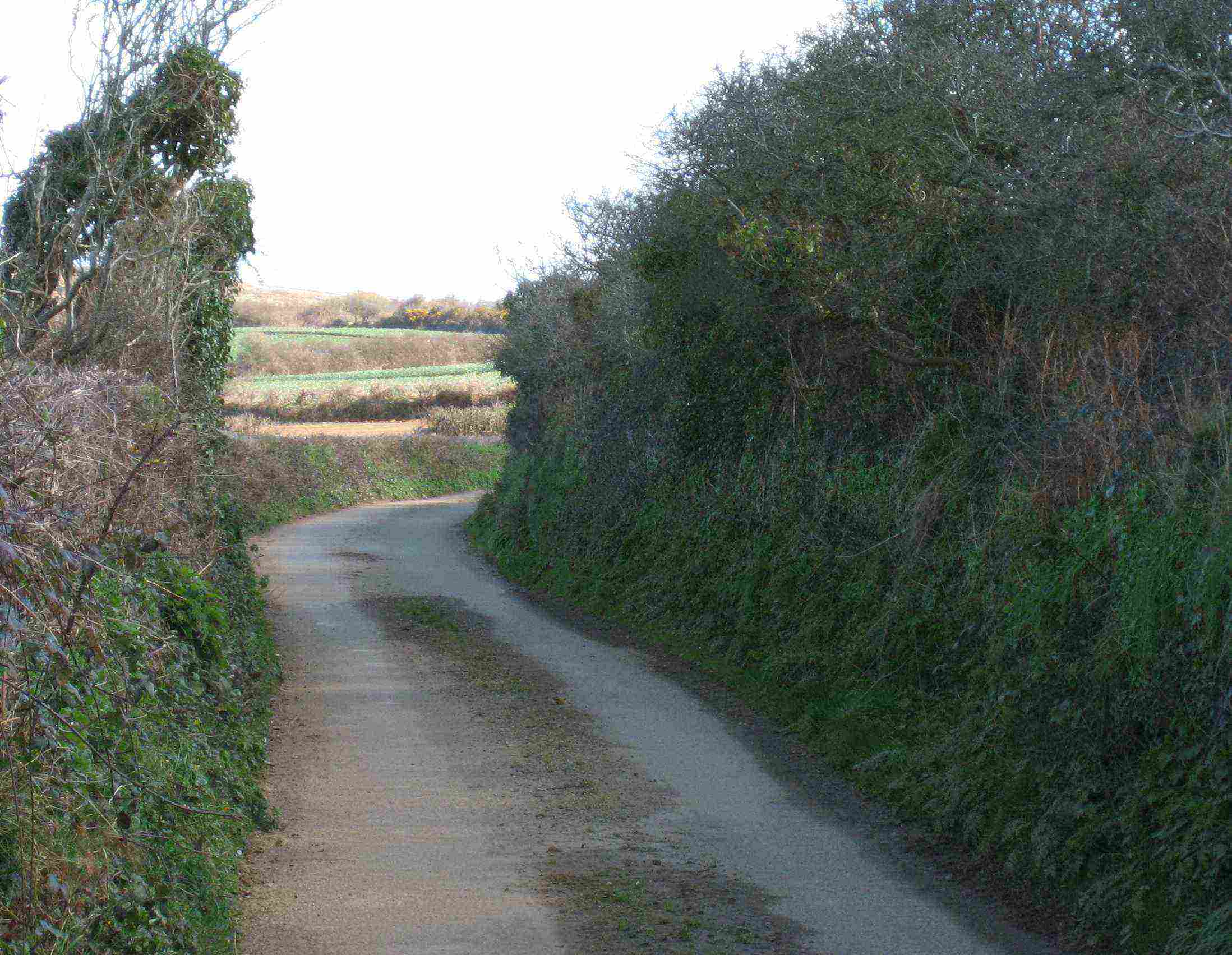 DN2 Typical Cornish lane