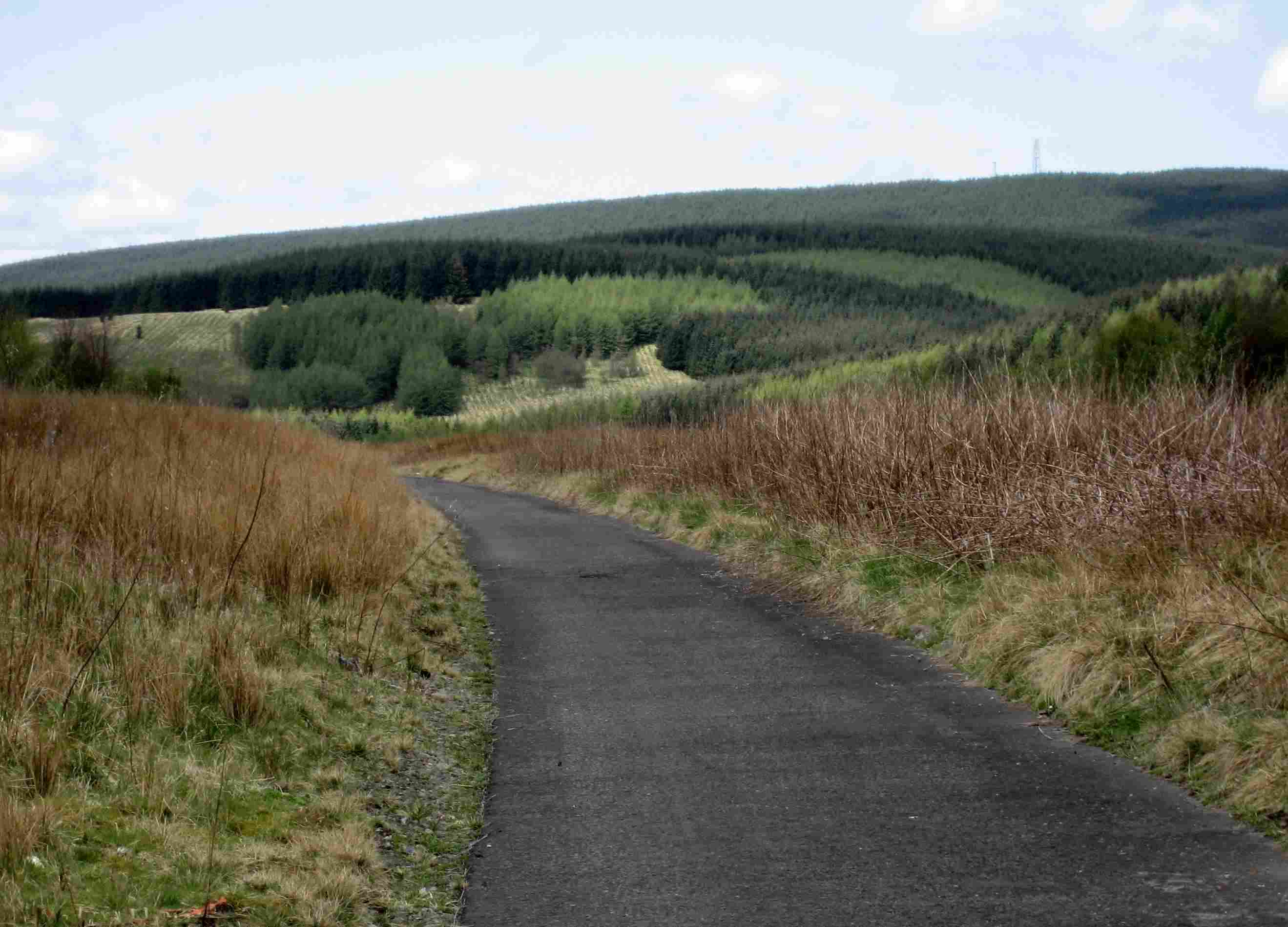 DN37 Bike path