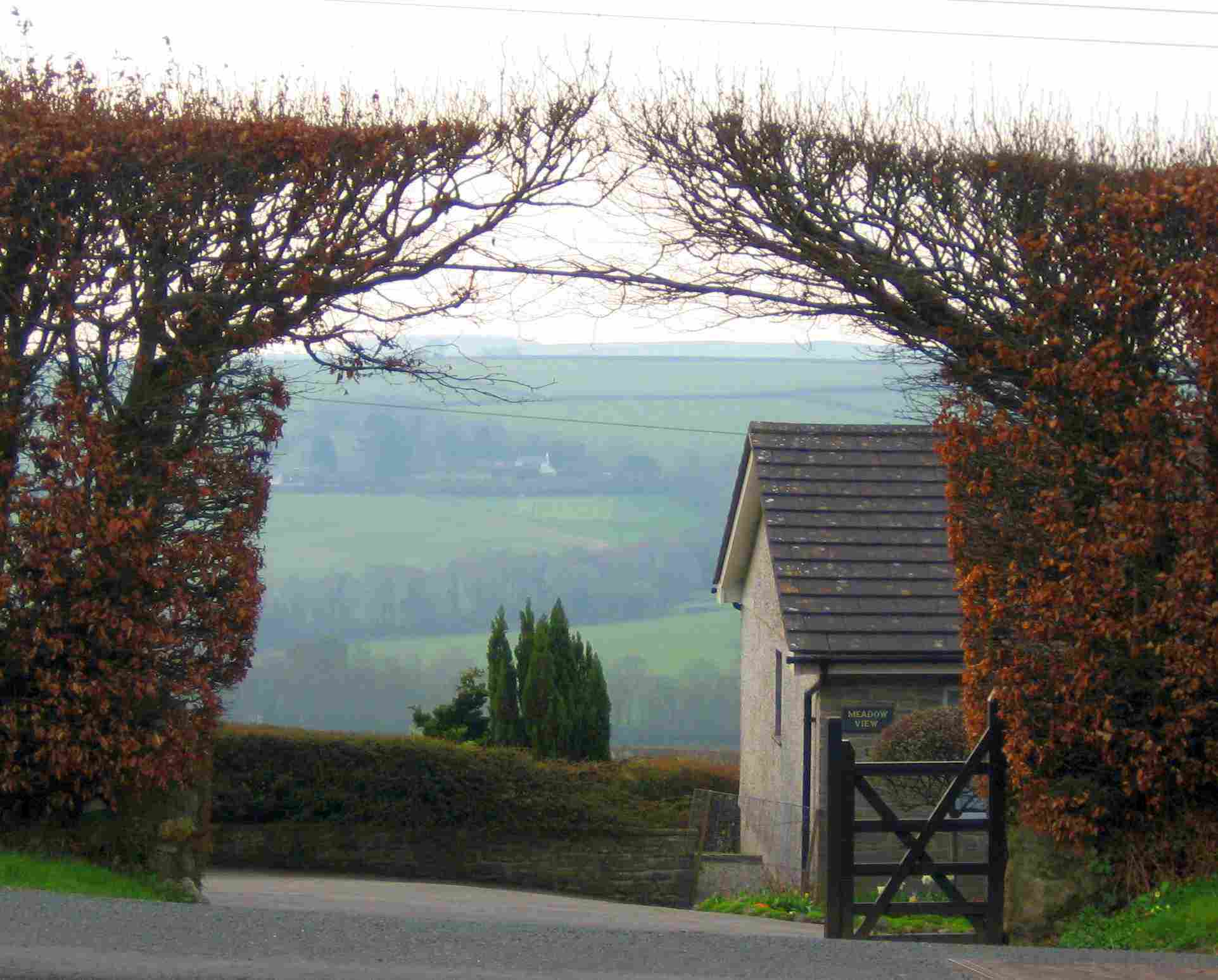 DN5 Hedge arch