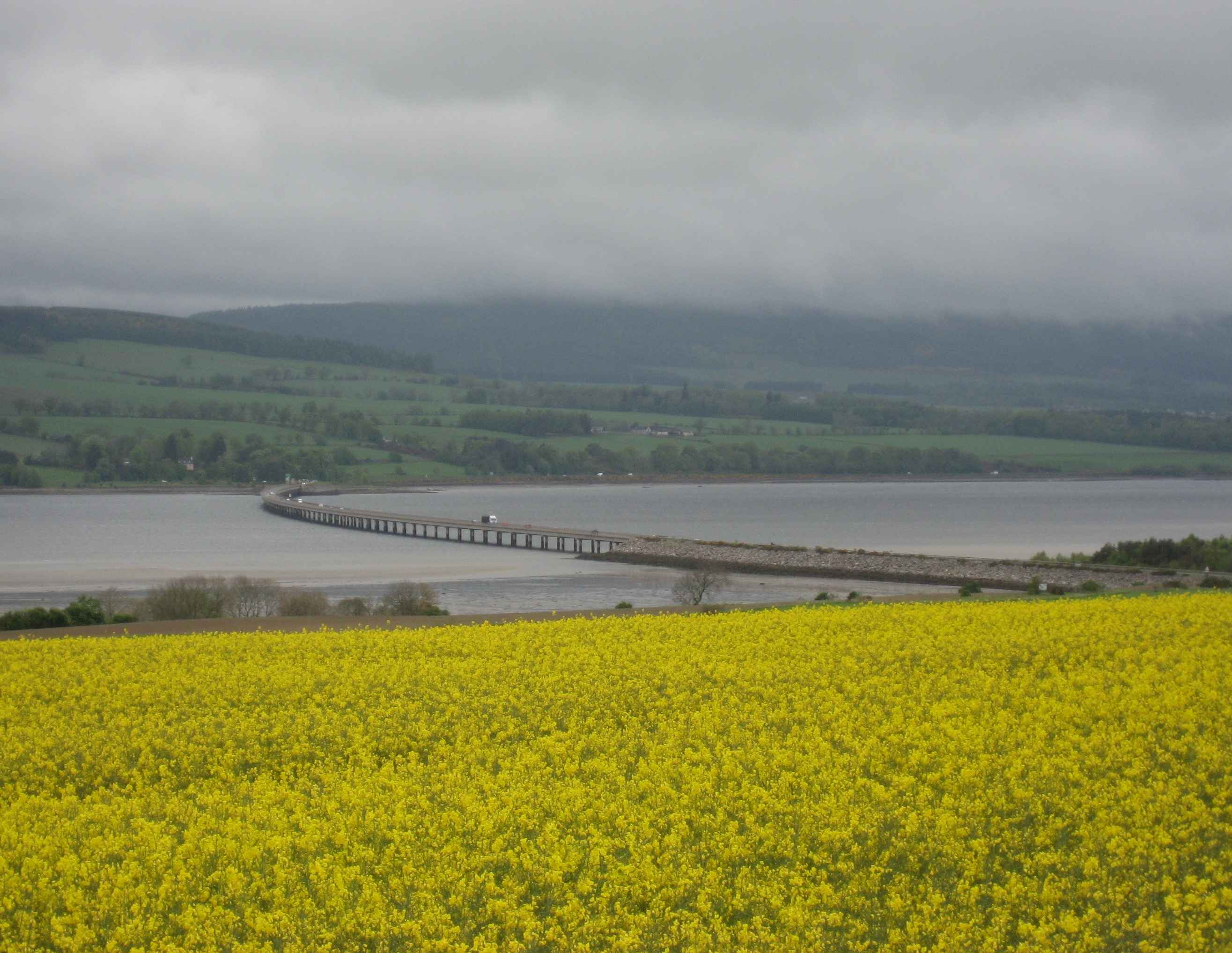 DN50 Cromarty Firth bridge from afar