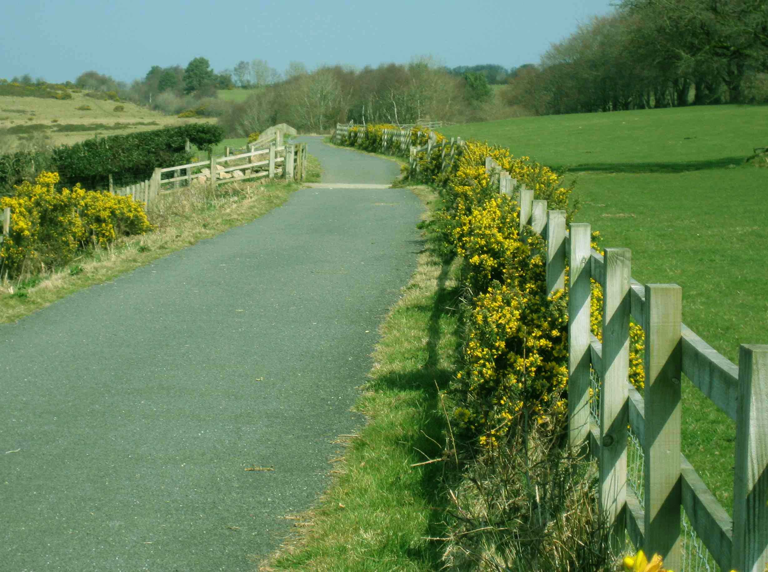 DN8 Dartmoor bike trail
