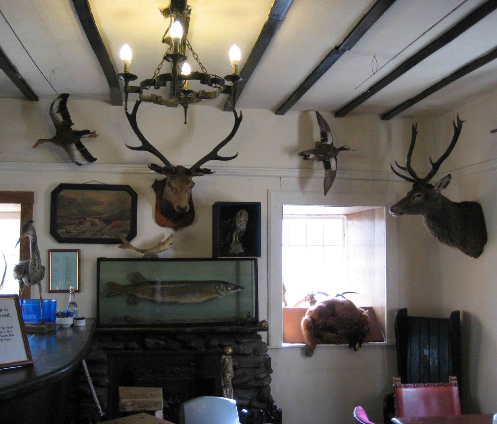 DS21 Drover's Inn display