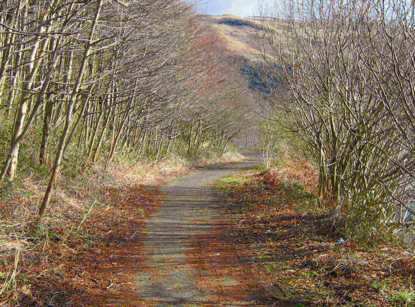 DS23 Loch Lomond Cycle Track