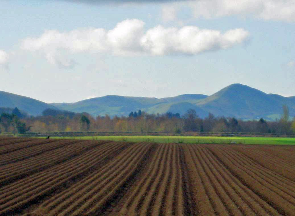 DS47 Ploughed field