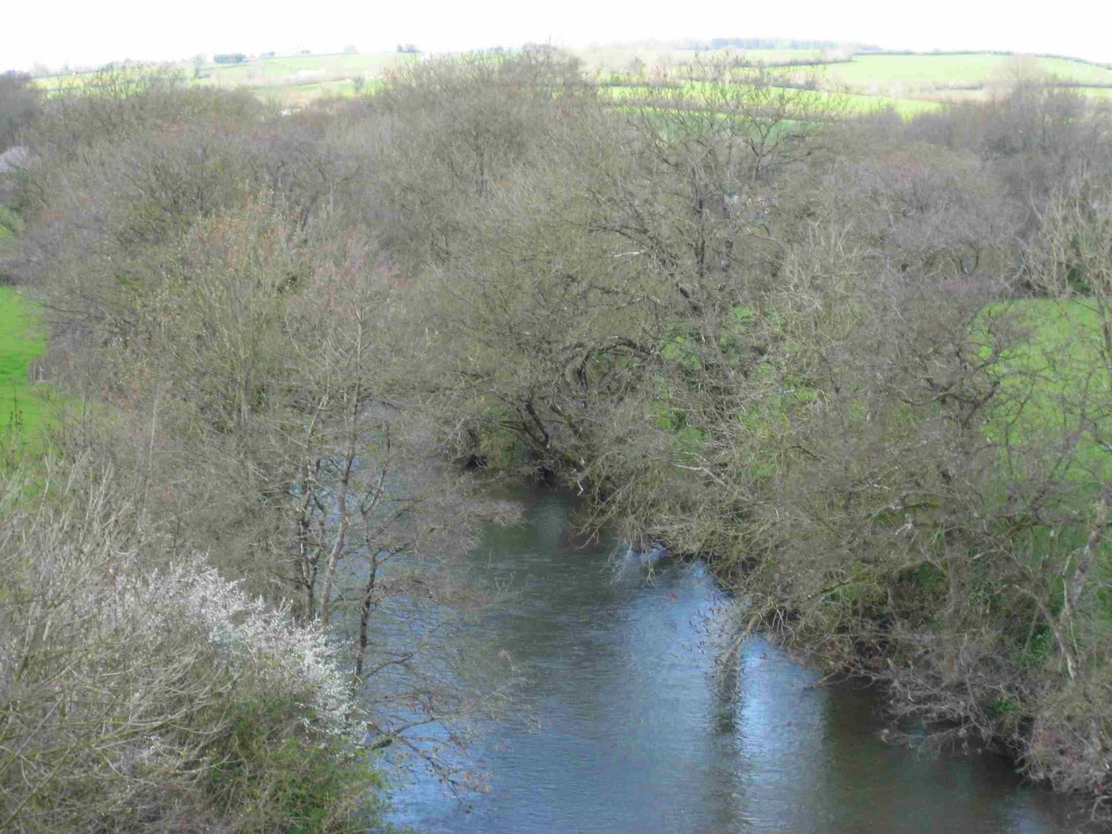 DS60 River Tamar